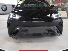 BYD Seagull Fly