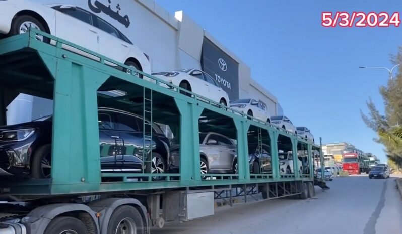 معاينة الفيديو